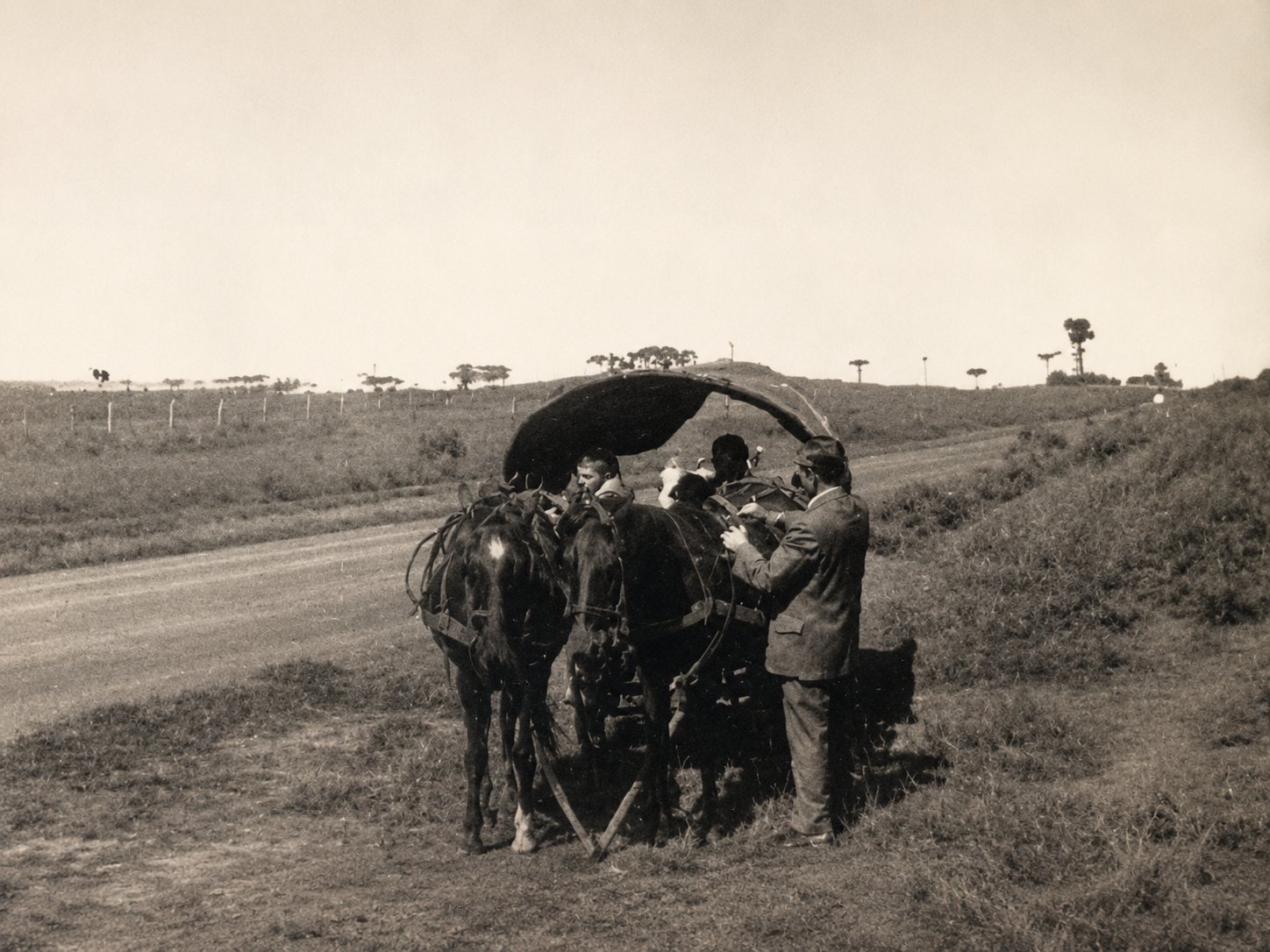 Carroção puxado a cavalos, estrada de terra no Paraná