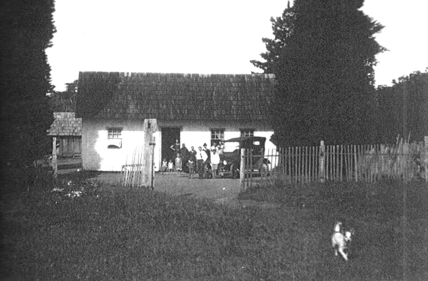 Família Roesler