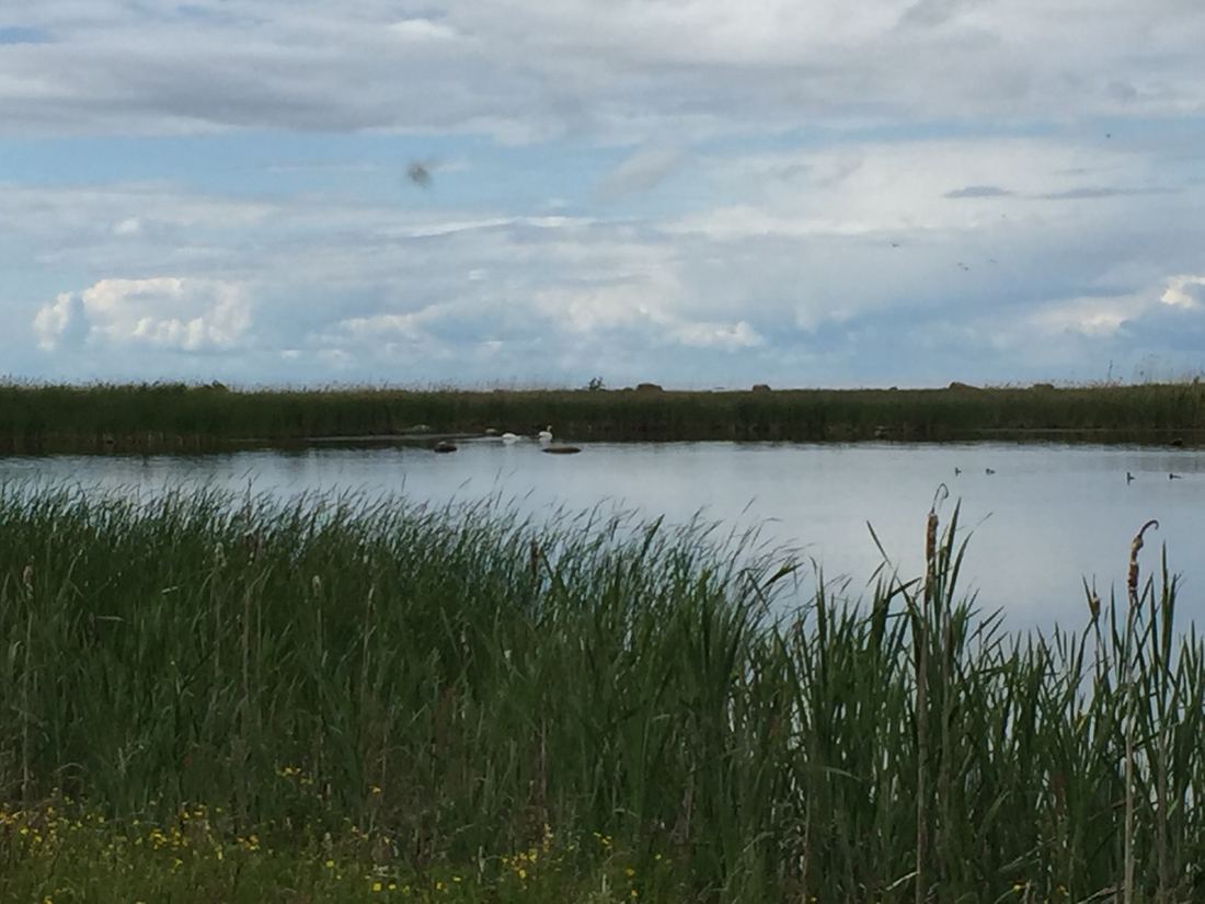 Ilha de Rammu, 2016 — foto 15